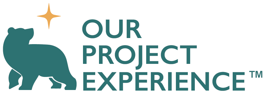 Our Project Experience